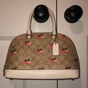 Coach strawberry purse